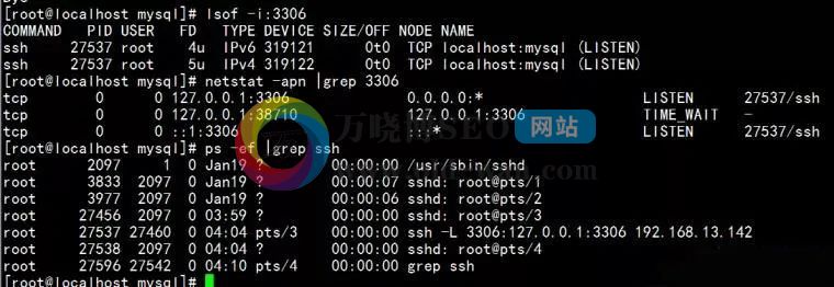 SSH远程连接服务器