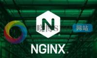 Nginx代理无法访问Nexus怎么解决